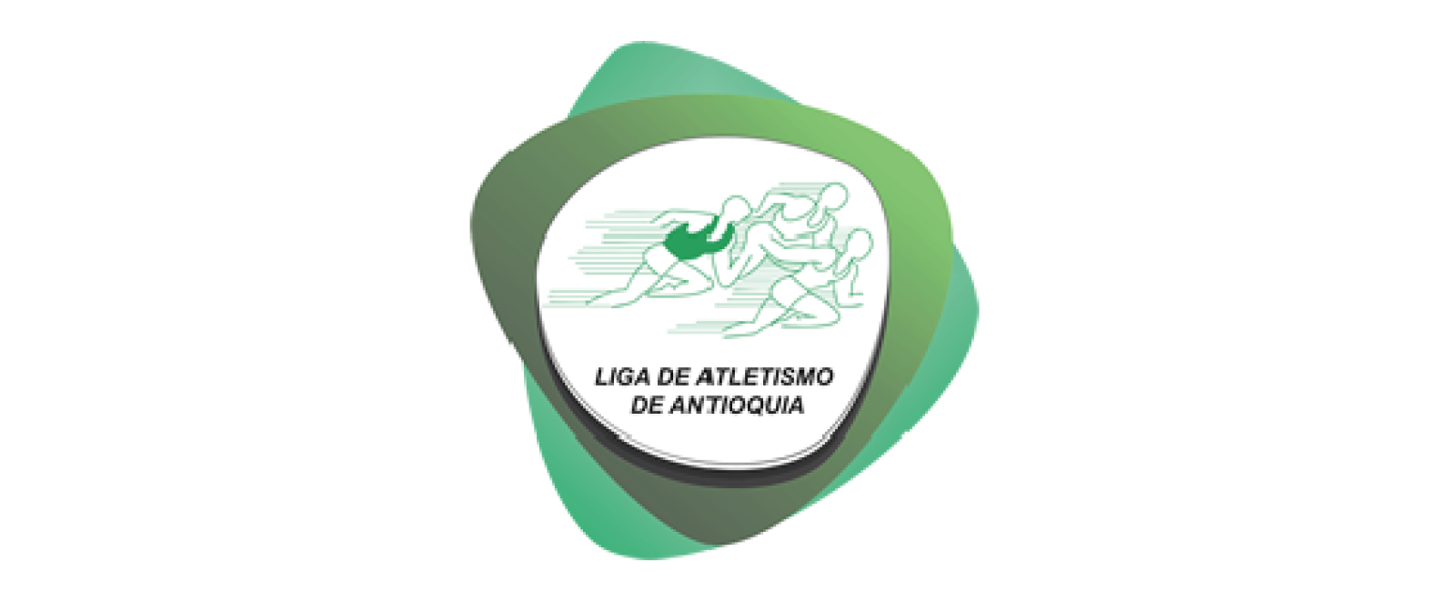 IMG LIGA 1