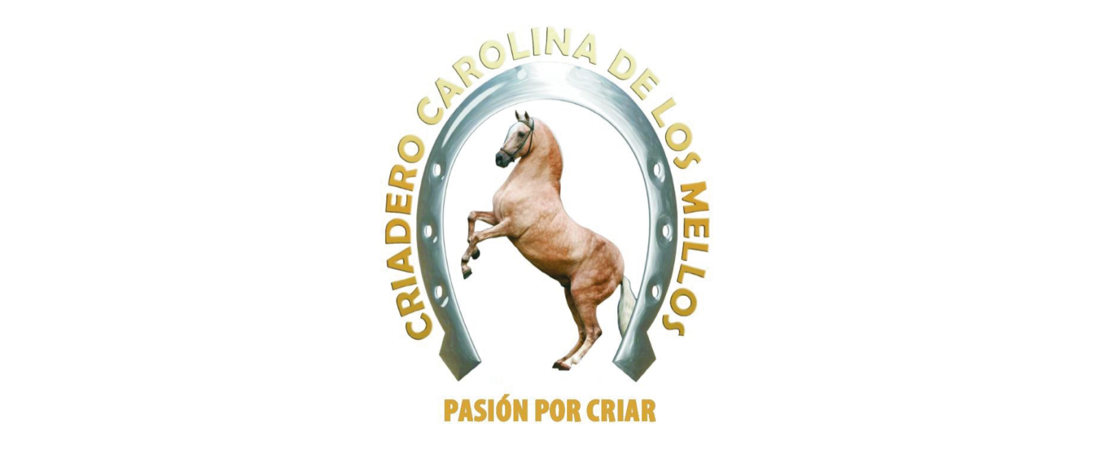 IMG PASIÓN